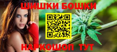 гидра Краснодар
