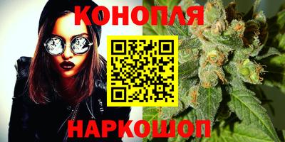 гидра Краснодар