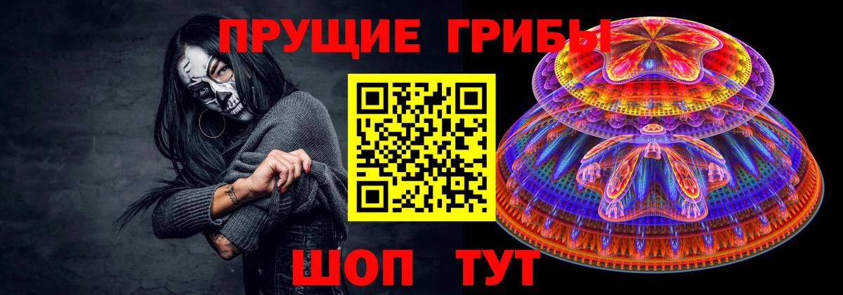 Галлюциногенные грибы Psilocybine cubensis Звенигород
